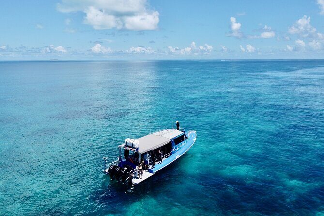 Outer Reef Scuba Diving Day Tour from Agnes Water 1770 - Transportation, Duration, and Practicalities