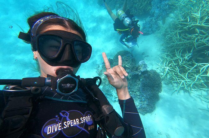 Outer Reef Scuba Diving Day Tour from Agnes Water 1770 - Why This Tour Is a Great Choice