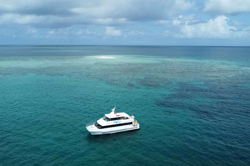 Outer Reef Snorkel and Dunk Island Small Group Tour from Cairns - At a glance: reef time, group size, and island stop