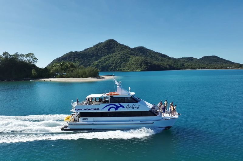 Outer Reef Snorkel and Dunk Island Small Group Tour from Cairns - Marine naturalists add guidance without dictating your day