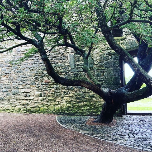 Outlander Private Tour - Shore Excursion From Edinburgh - Tour Experience