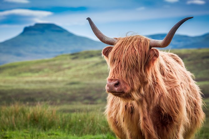 Outlander Tour of Scotland - 8 Days / 7 Nights - Local Cuisine and Whisky Tasting