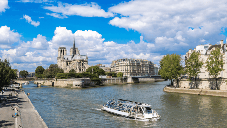 Outside Île De La Cité Tour With Crypt Access and Cruise - Historical Insights