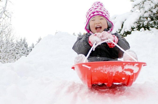 Outskirts of the city Mt Rokko Snow Trip - Exploring the Mt Rokko Snow Trip in Detail