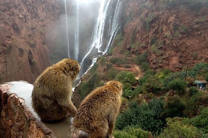 Ouzoud Falls - Natural Beauty and Scenic Views