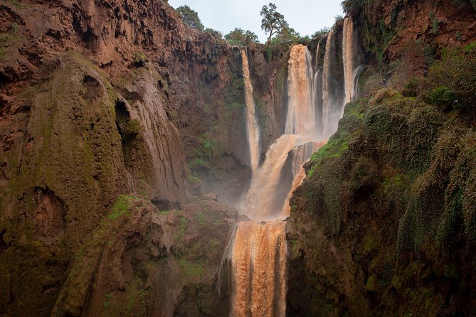 Ouzoud Falls Day Trip From Marrakech - Pricing and Booking Details