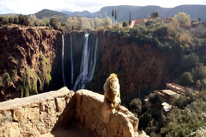 Ouzoud Falls Day Trip From Marrakech - Reviews and Ratings