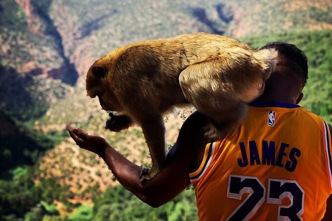 Ouzoud Falls Day Trip From Marrakech - Common Questions