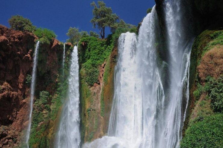 Ouzoud Falls, Monkey Sightings, Boat Ride & Guided Hike - Booking Information
