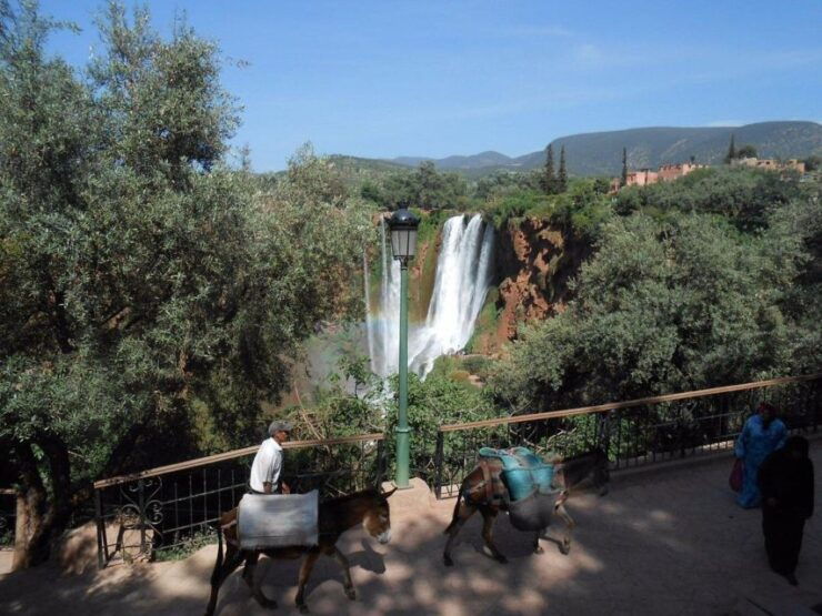 Ouzoud Falls, Monkey Sightings, Boat Ride & Guided Hike - Payment Options