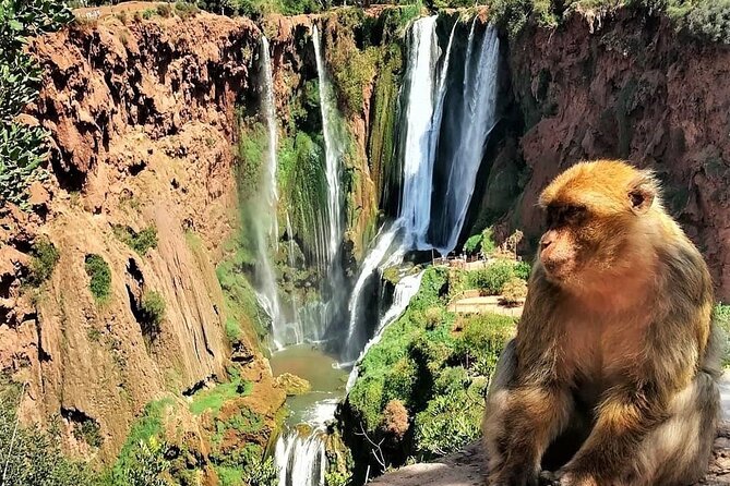 Ouzoud Falls Private Day Trip From Marrakech ( All Inclusive ) - Visitor Information