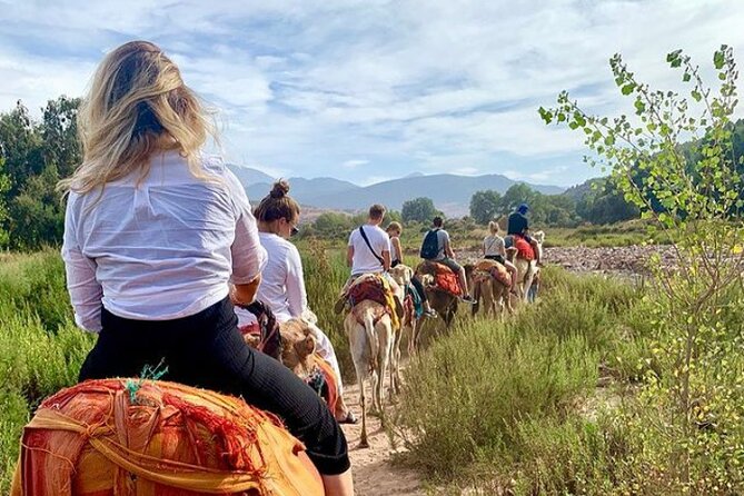 Ouzoud Water Full Day Trip From Marrakech - Important Details