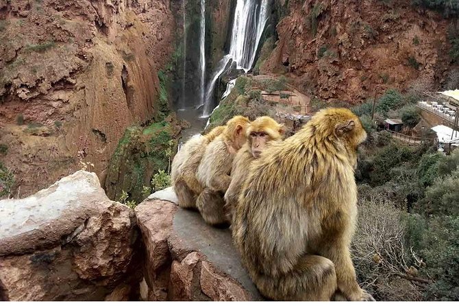 Ouzoud Waterfall Day Trip From Marrakech - Price and Booking