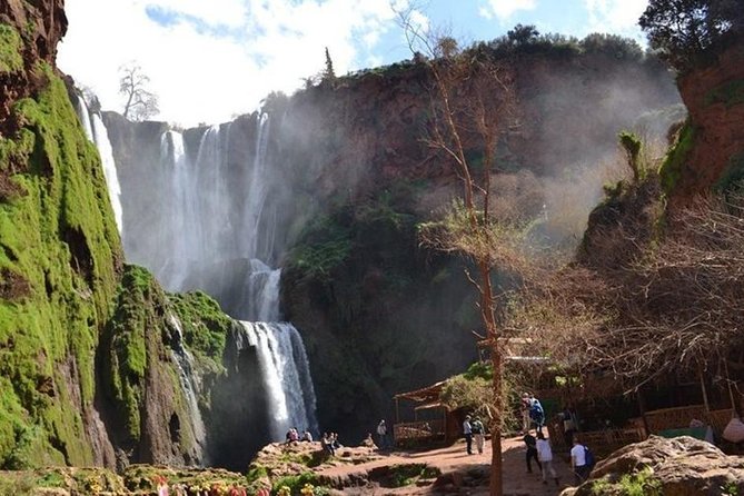 Ouzoud Waterfall & Middle Atlas Mountain Full-Day Tour From Marrakech - The Sum Up