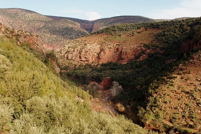 Ouzoud Waterfalls Day Tour From Marrakech - Frequently Asked Questions
