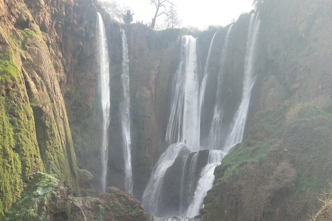 Ouzoud Waterfalls Day Tour From Marrakech - Frequently Asked Questions