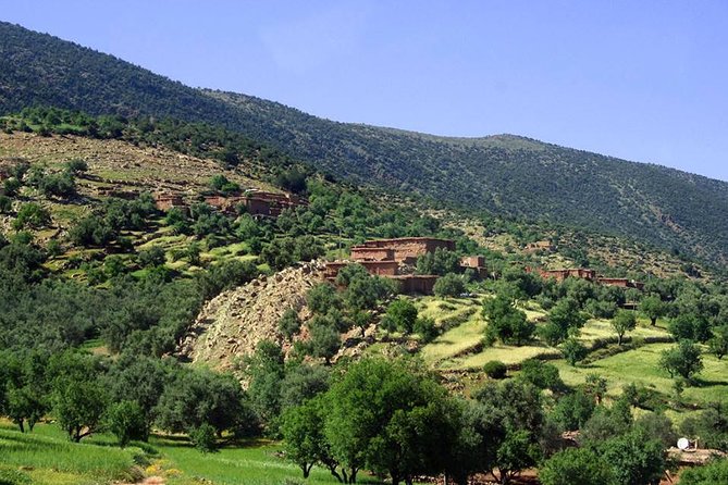 Ouzoud Waterfalls Day Trip From Marrakech - Additional Activities and Features
