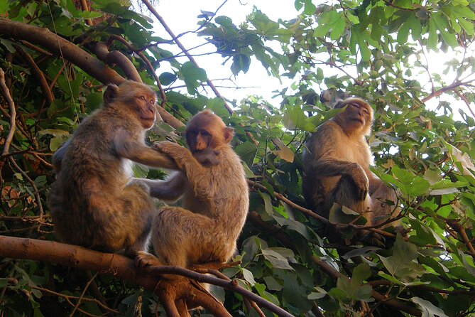 Ouzoud Waterfalls Full-Day Trip From Marrakech - Start Time