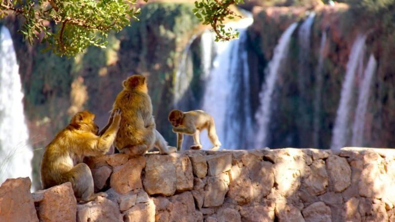 Ouzoud Waterfalls Hiking and Boat Tour - Following the paths toward the pools