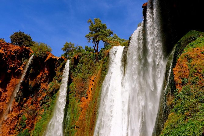 Ouzoud Waterfalls Private Day Trip From Marrakech - Whats Included