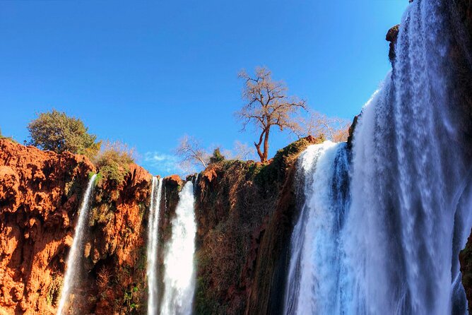 Ouzoud Waterfalls Private Day Trip From Marrakech - Meal Inclusions