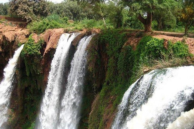 Ouzoud Waterfalls Shared Group Day Trip From Marrakech - Frequently Asked Questions