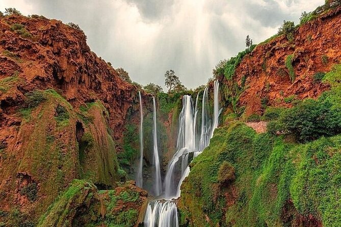 Ouzoud Waterfull - Day Trip From Marrakech - Reviews and Ratings