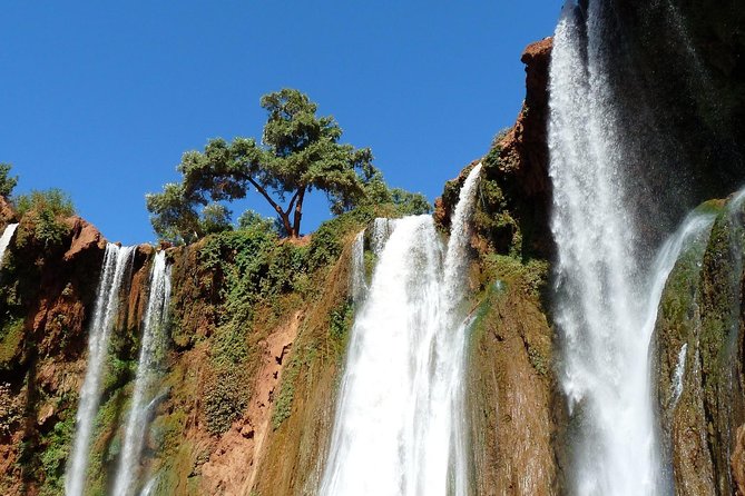 Ouzoud Waterfull - Day Trip From Marrakech - Booking Information