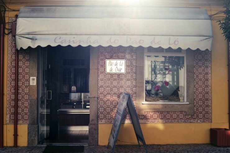 Ovar and Aveiro Tour - Experience Highlights