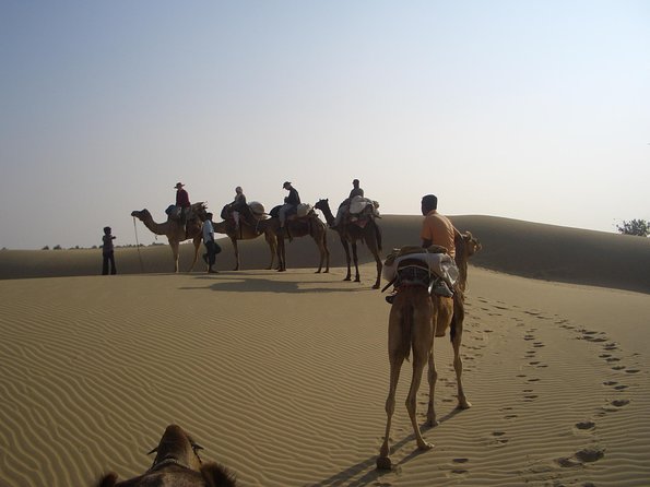 Over Night Desert Adventure Camel Safari - Experience Overview