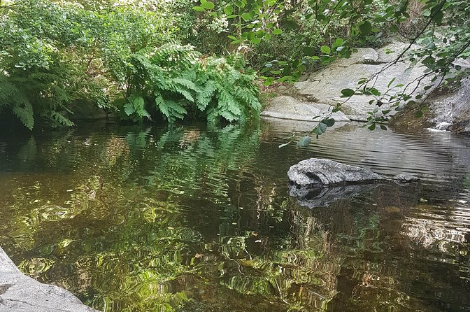 Over Water and Bird Songs - Activity Expectations