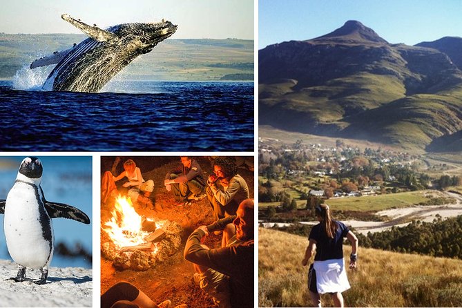 Overberg Region 2-Day Private Tour  - Cape Town - Tour Highlights