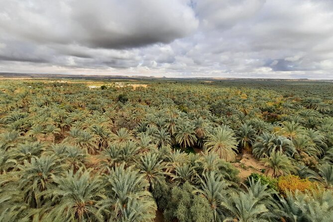 Overday White Desert Safari Plus Camping Night - Inclusions