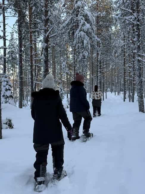 Överkalix - Lapland : Full-Day Snowshoe Tour with Lunch - Exploring the Full-Day Snowshoe Tour: What to Expect