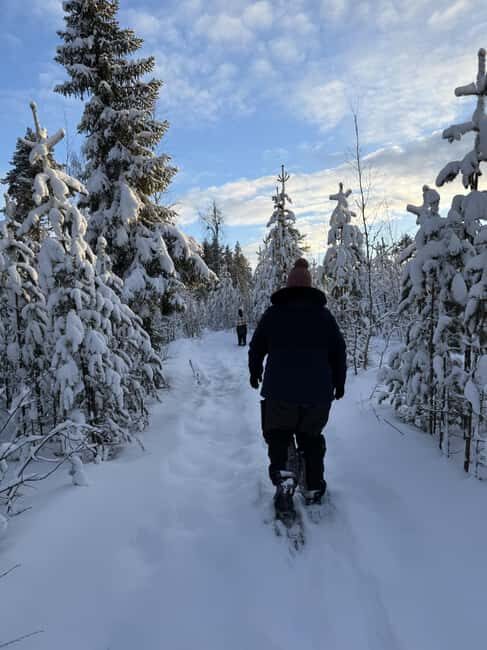 Överkalix - Lapland : Full-Day Snowshoe Tour with Lunch - Final Thoughts: Is This Tour Right for You?