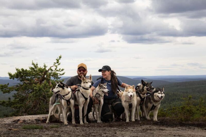 Överkalix - Lapland : Husky Cuddle and Fika Experience - Good To Know