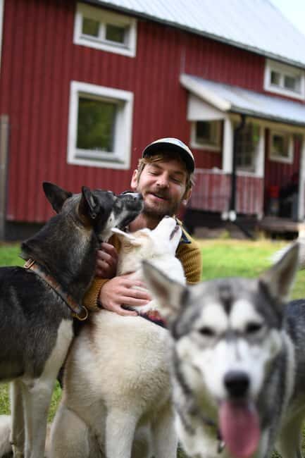 Överkalix - Lapland : Husky Cuddle and Fika Experience - The Experience in Detail: What You Can Expect