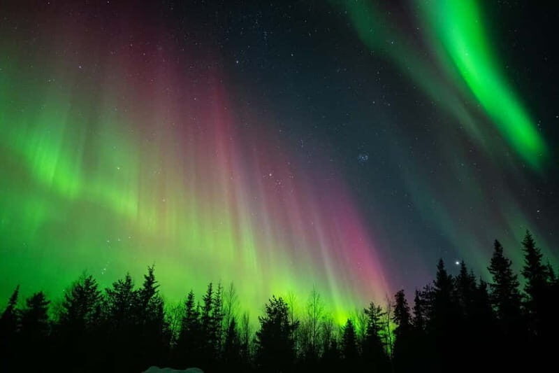 Överkalix - Lapland : Snowmobile Tour with Northern Lights - Good To Know