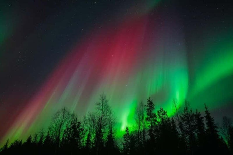 Överkalix - Lapland : Snowmobile Tour with Northern Lights - What to Expect on the Snowmobile Tour