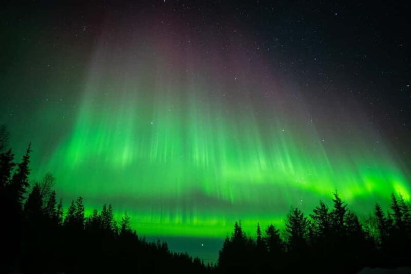 Överkalix - Lapland : Snowmobile Tour with Northern Lights - Is It Worth the Price?