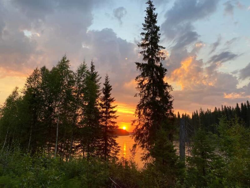 Överkalix - Lapland : Summer Hike and Midnight Sun Dinner - Good To Know