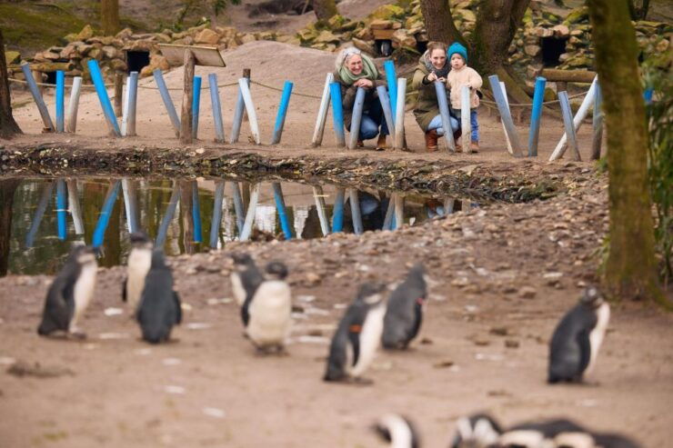 Overloon: ZooParc Entrance Ticket - Ticket and Booking Details