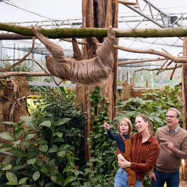 Overloon: ZooParc Entrance Ticket - Visitor Reviews