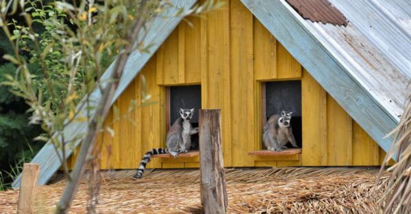 Overloon: ZooParc Entrance Ticket - Directions
