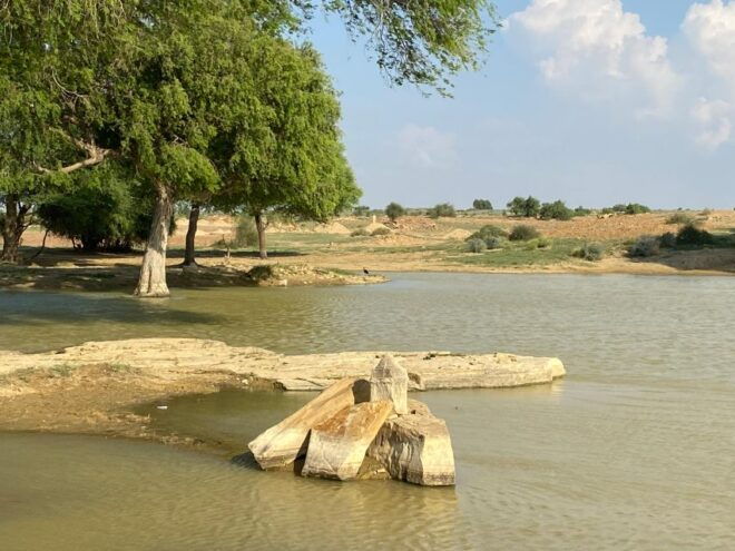 Overnight Adventure Safari by Wonbin Safari - Reserve Now & Pay Later
