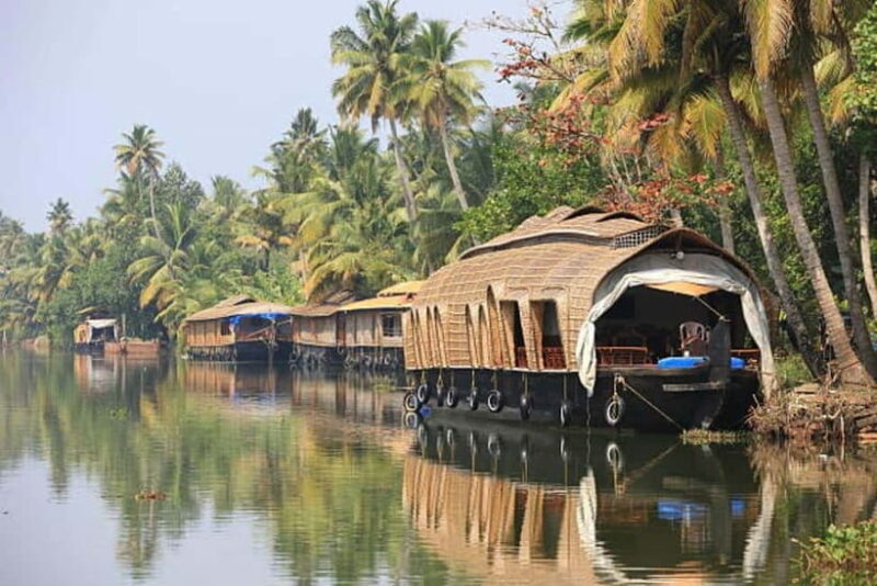 Overnight Alleppey Houseboat Cruise Tour (Kerala Beauty) - Exploring the Overnight Alleppey Houseboat Cruise (Kerala Beauty): A Practical Look