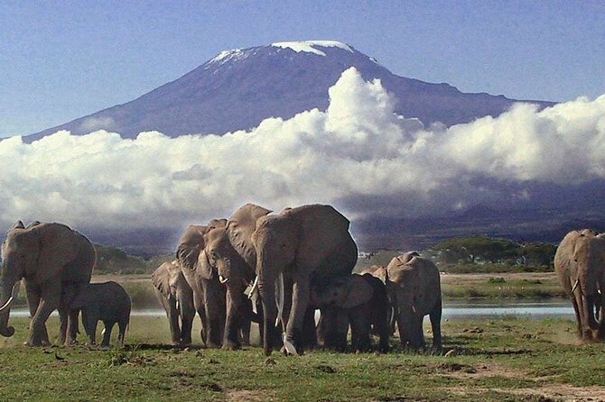 Overnight Amboseli National Park Safari - Inclusions and Exclusions