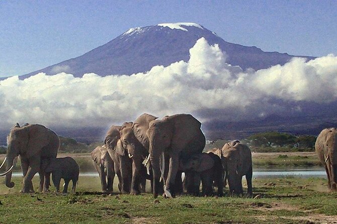 Overnight Amboseli National Park Safari - Logistics and Pickup Points