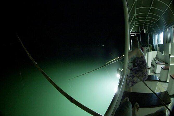 Overnight at 4 stars cruise - cheapest prices - high quality - all inclusions - Who Will Appreciate This Tour?