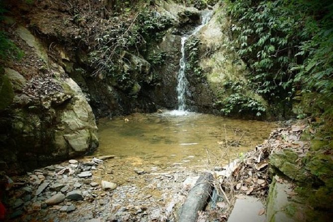 Overnight at Osho Tapobon - Location and Surroundings